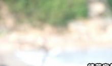 坚强的谚语简短