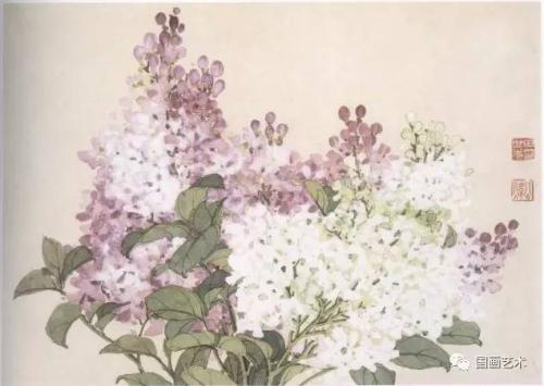 关菊一品经典语录