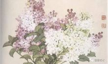 官居一品经典语录