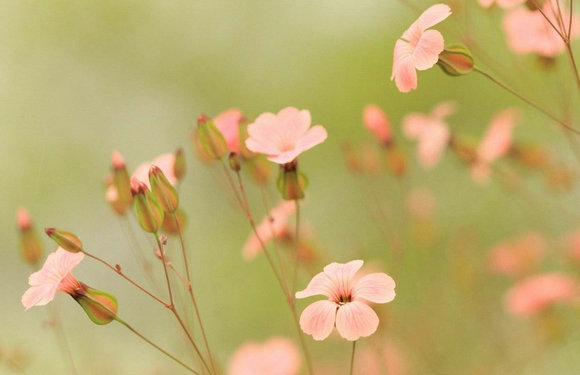 过去是经验,现在是尝试,未来是期望1