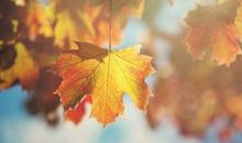 珍惜生活——上帝还让你活着，就肯定有他的安排