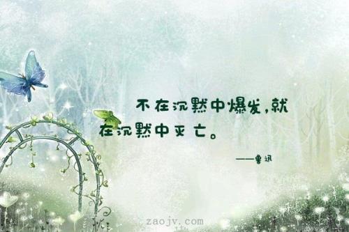 关于沉默的审美句子