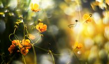 经典名著经典语录