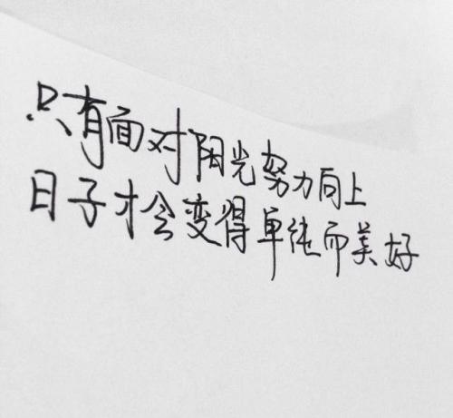 关于努力的审美句子