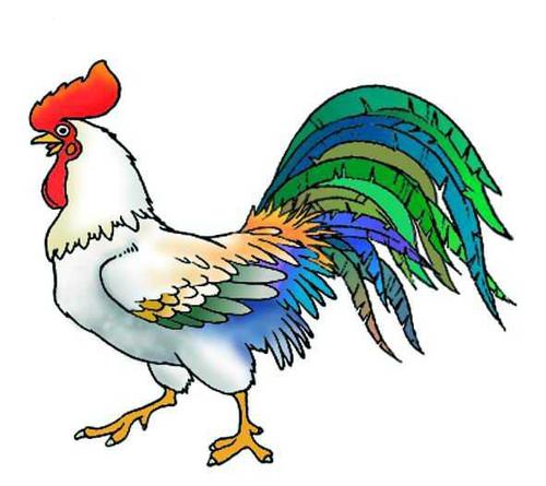 公鸡的尾巴寓言