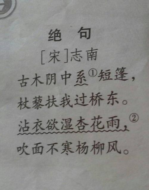 描写夏雨的美丽诗