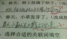 小草绿了拟人句