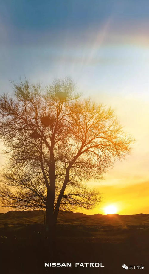 因为我无法改变世界，所以我只能尝试融入