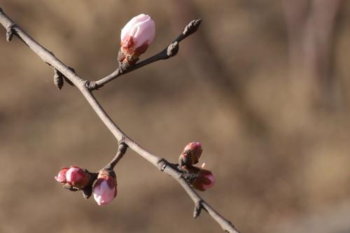 世界上有经典的句子