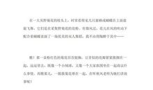 描写菊花的段落