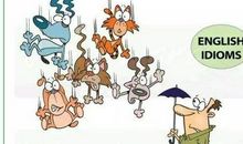 表明要亲身实践的谚语