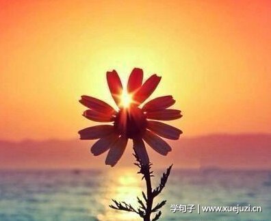 描述珍惜的句子