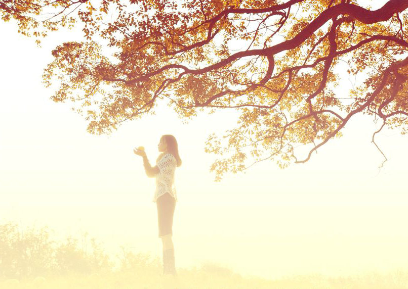 让自己放心，广阔的世界不仅在您面前