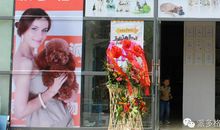 宠物店开张祝福语