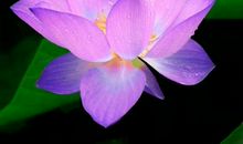 学会变通的名言