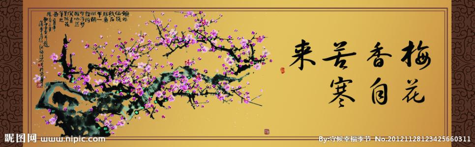 梅花有哪些经节