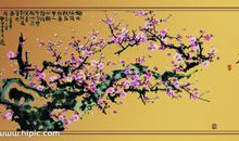 带梅花的诗句有哪些