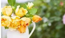 冬天周末祝福语大全