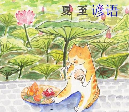 关于食物的谚语