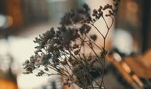 工作低落的心情说说