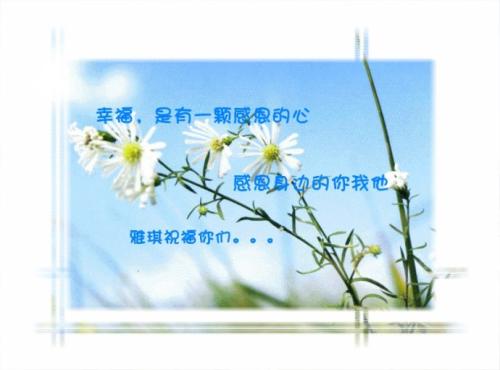 谢谢情侣的一句话