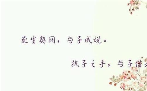 表达对女儿的爱的简短句子