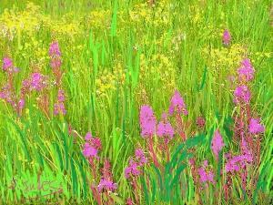 描写秋花的句子