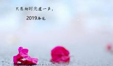 告别2019的说说