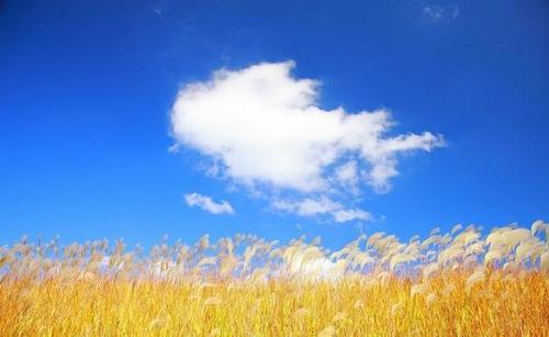 描述蓝天白云的好句子