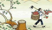 关于理的谚语俗语