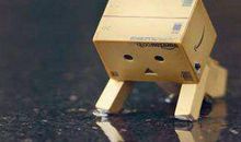 失败了站起来的励志句子说说图片