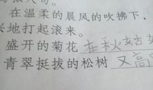 写白鹅的拟人句