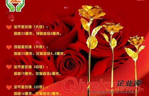 母亲的50岁生日祝福