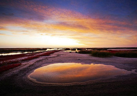 多年以来，爱情平淡无奇，平静如水。1