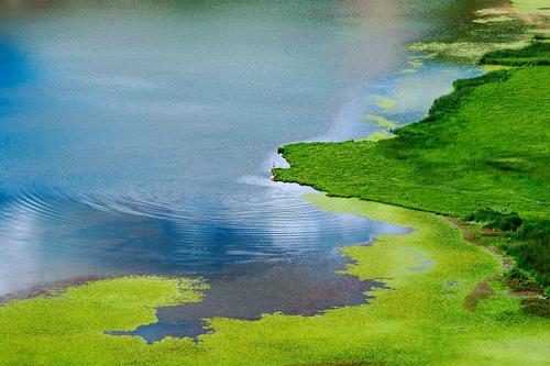 大雨的拟人化句子