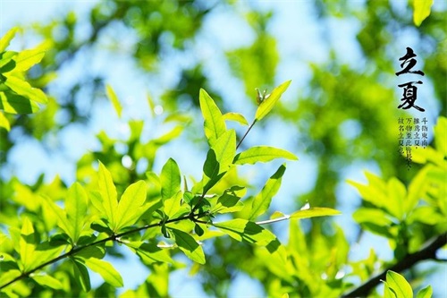 丽霞向顾客致意