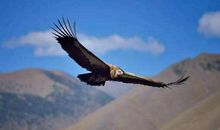 放手去做想做的，别压抑自己，突破人生的枷锁