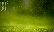 关于早晨的谚语