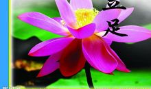 保护视力名人名言