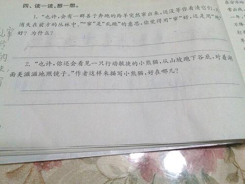 描述熊猫的隐喻