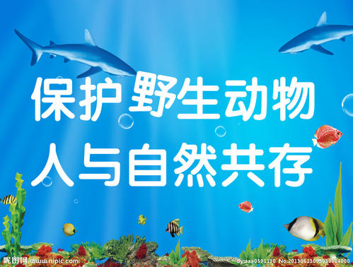 保护动物的口号