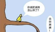 吃货的说说搞笑句子