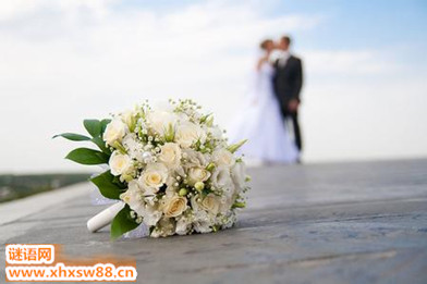 同事的女儿的婚礼祝福