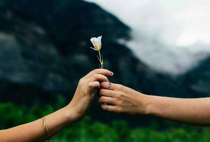 您必须先爱世界，世界才能回报您的爱