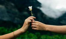 你一定要先爱这个世界，世界就一定会回馈你的爱