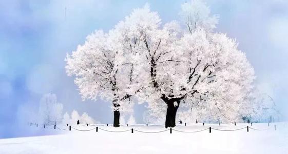 关于冬天的寓言