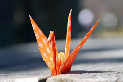 用微笑诠释悲伤，用努力诠释未来1