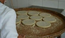 蚂蚁爬进簸箕歇后语