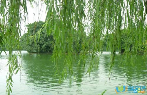 春天风景的寓言