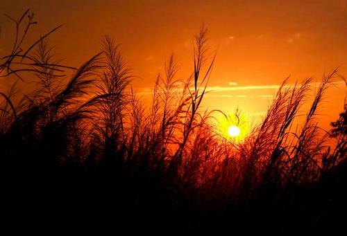 日落美丽而美丽的句子与图片2